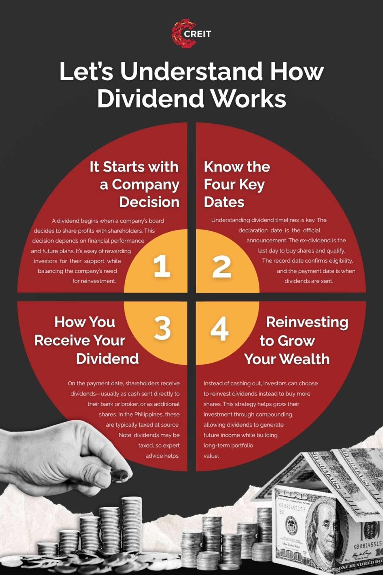 simple breakdown of how dividends work infographic